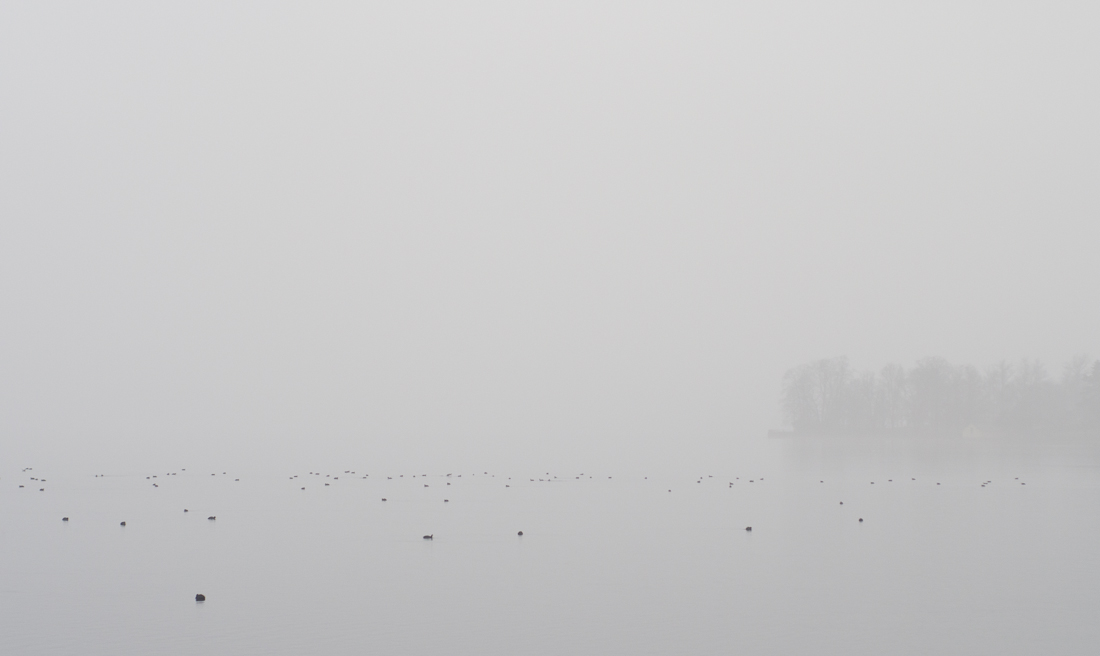 _1020180.jpg