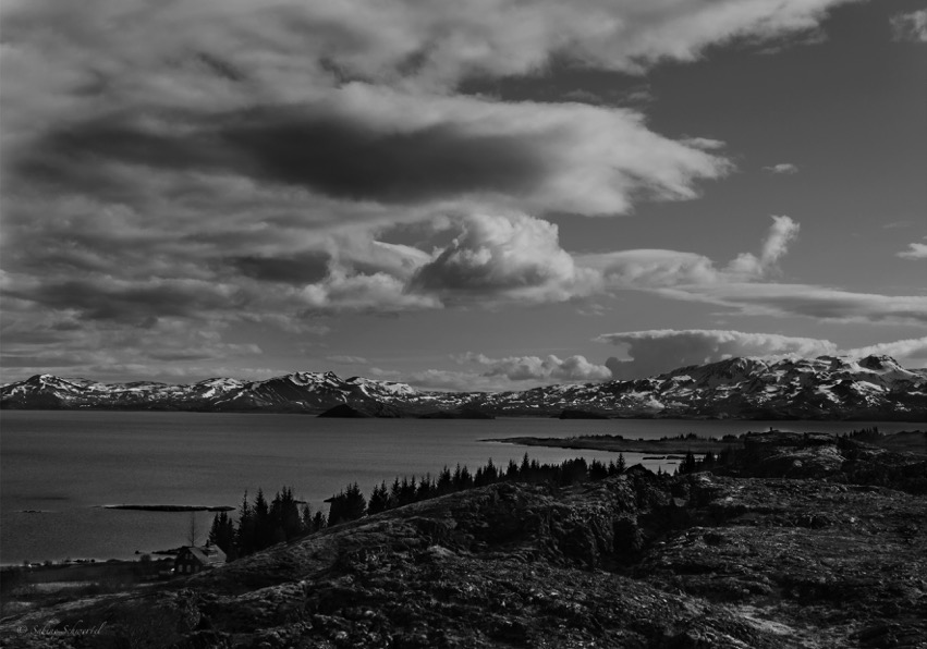 P1070457sw.jpeg