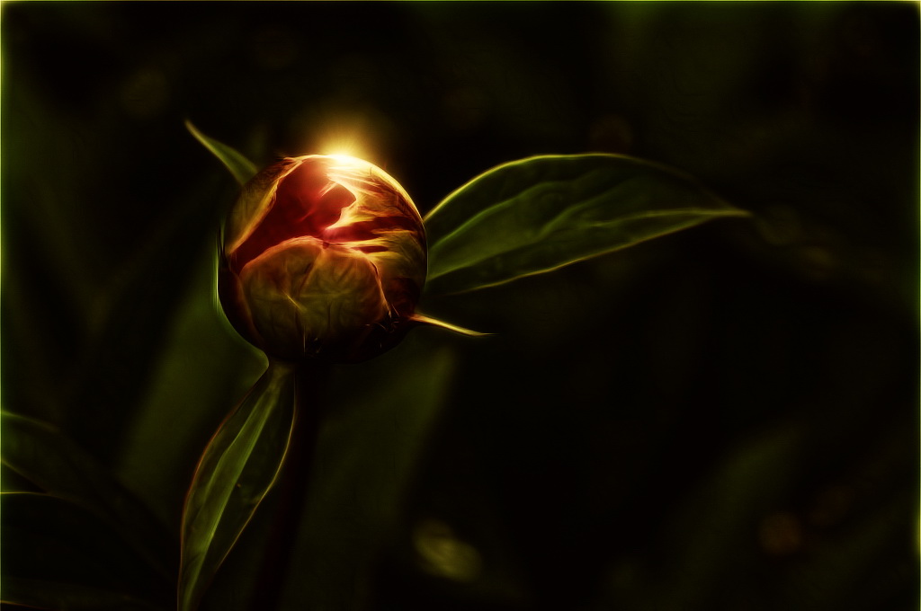 P1020036glowingroseorb-frac.jpg