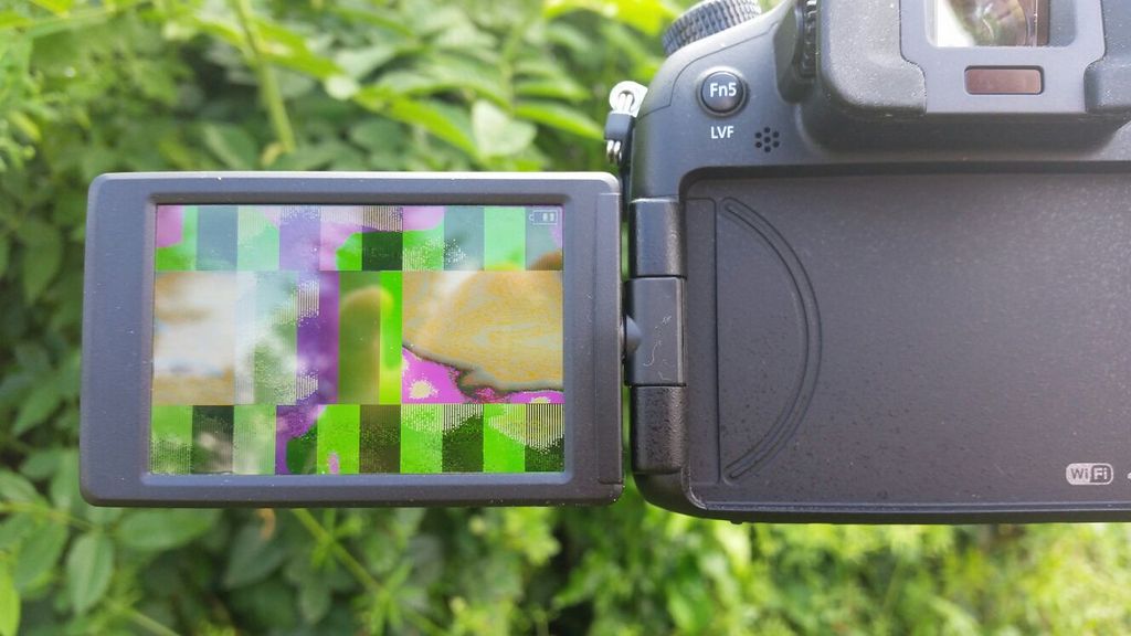 FZ1.jpg