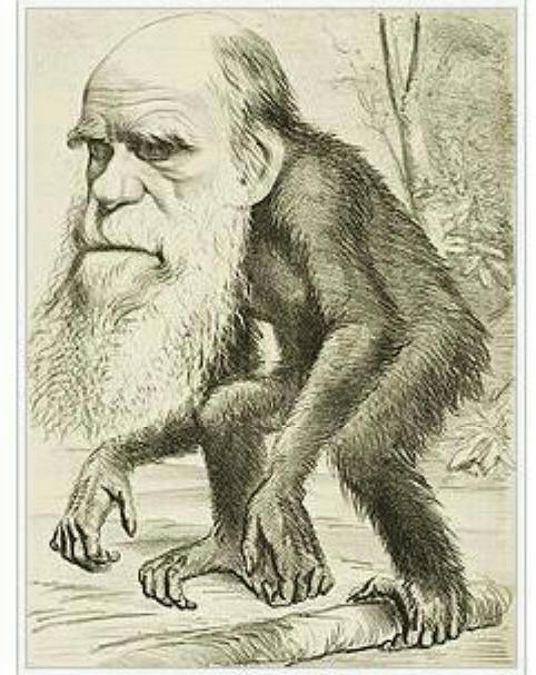 Darwin_1_1_1_1b.jpg