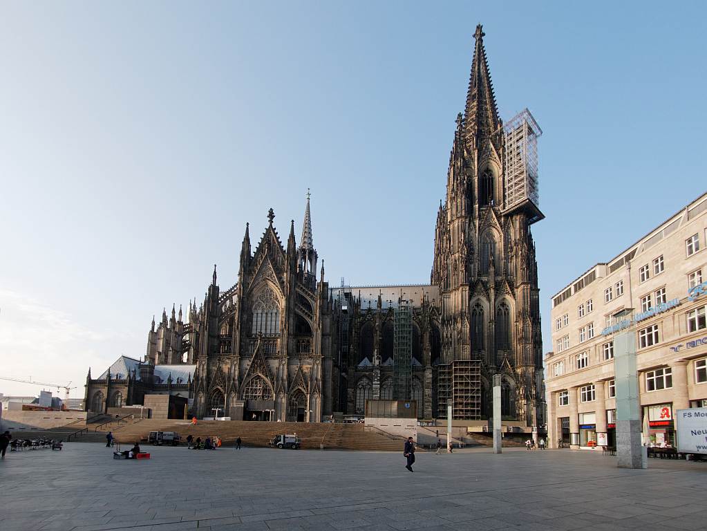 DomFischB.jpg
