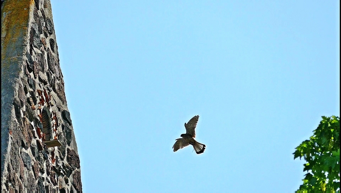 0vlcsnap-1934-09-29-08h23m12s911 verkleinert.jpg