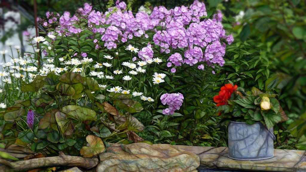 Garten um 20 h 30 _ k.jpg