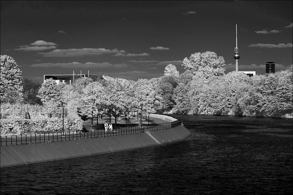 ir_tiergarten_mai_2016_1.jpg