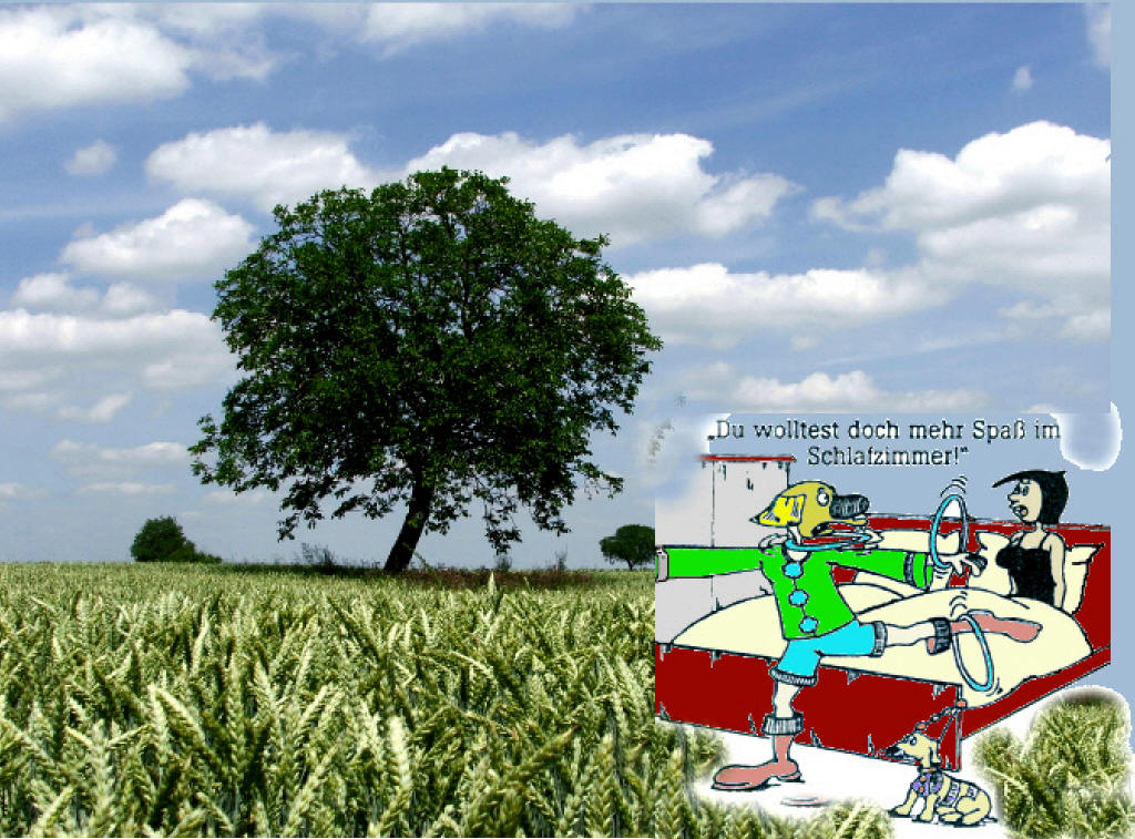 Ein Bett im Kornfeld_2_1.jpg