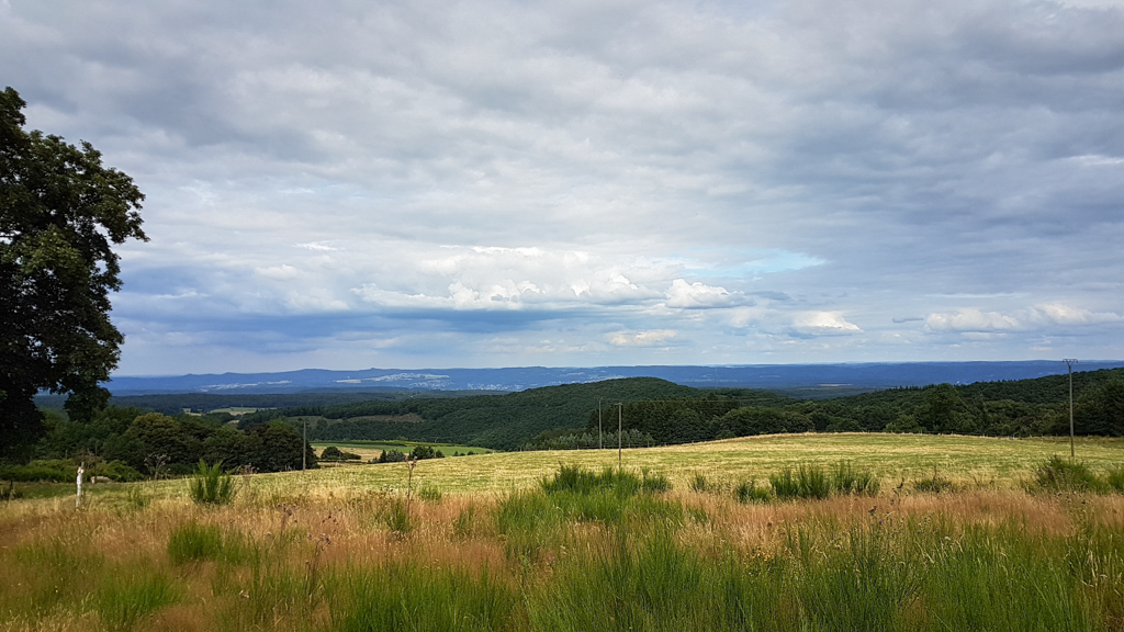 20160730_162439-2.jpg