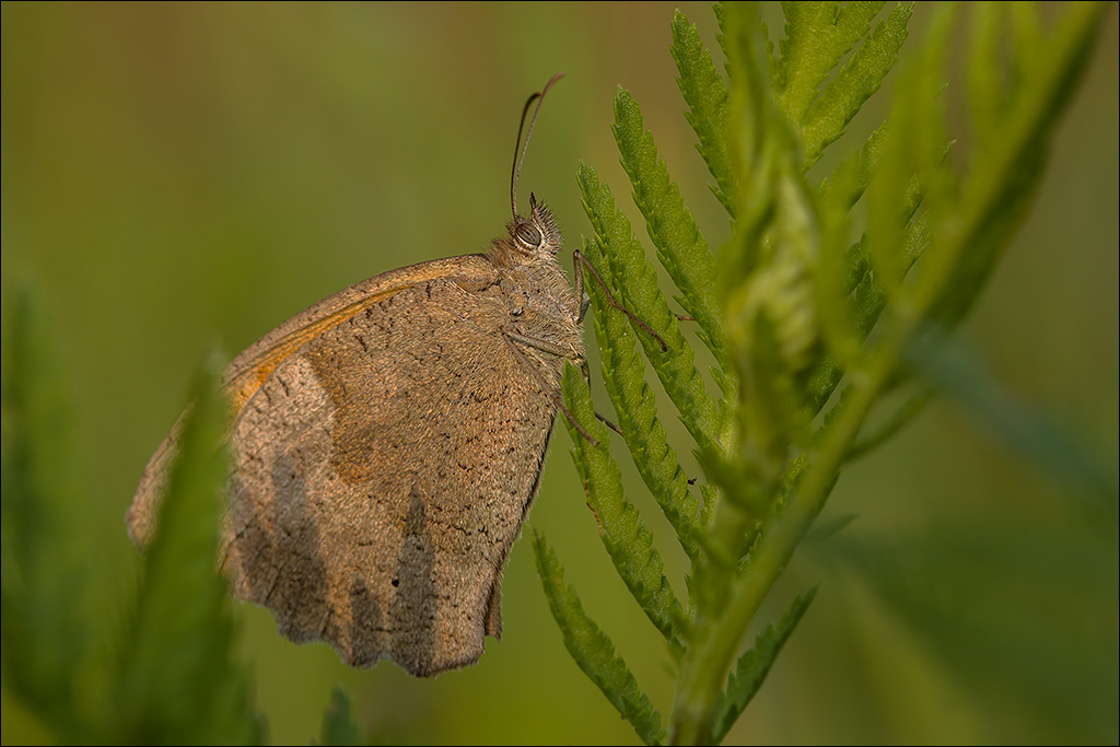 750D-02.jpg