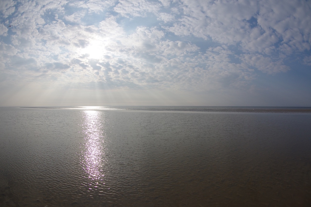 sunstar 04.jpg
