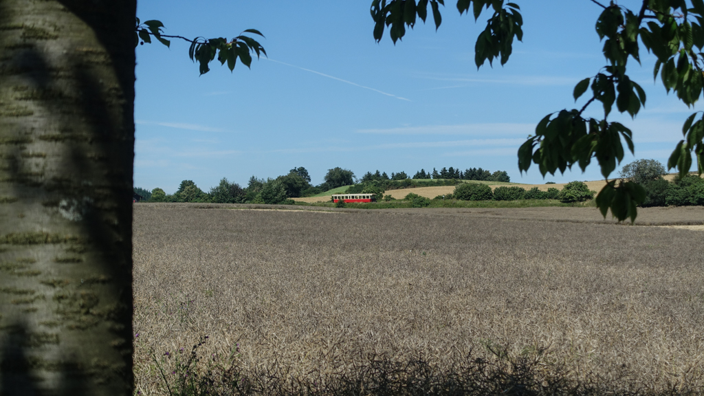 DSC03544-2.jpg