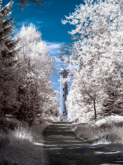 JE 073773-Bearbeitet.jpg