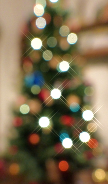 P1110797b_1_1.jpg