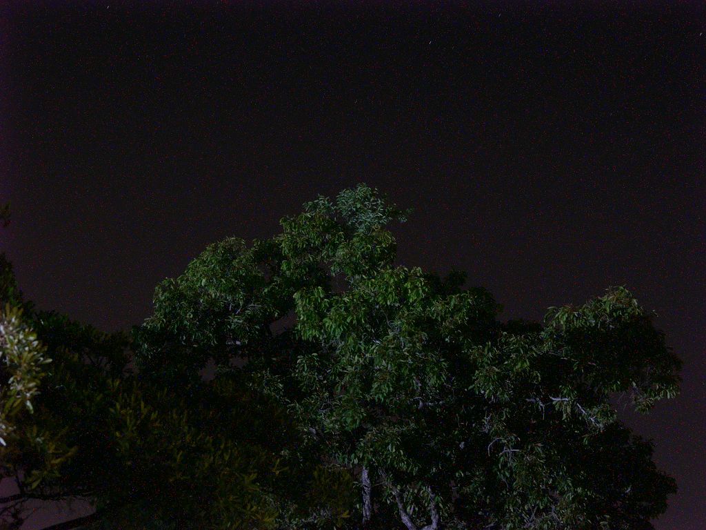 k-P1090146.JPG