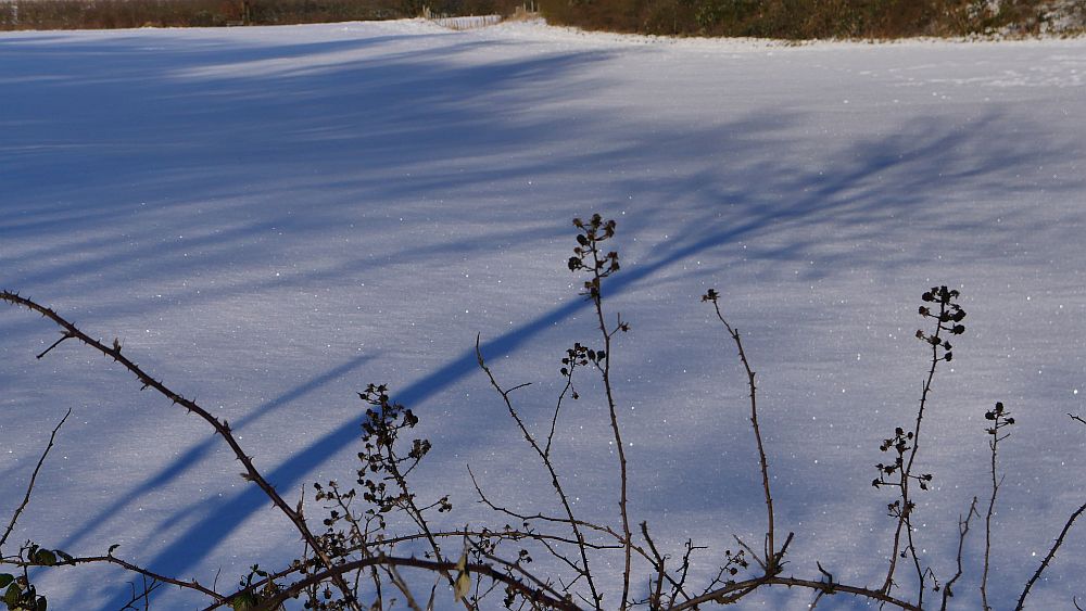 schneeglitzern klein.jpg