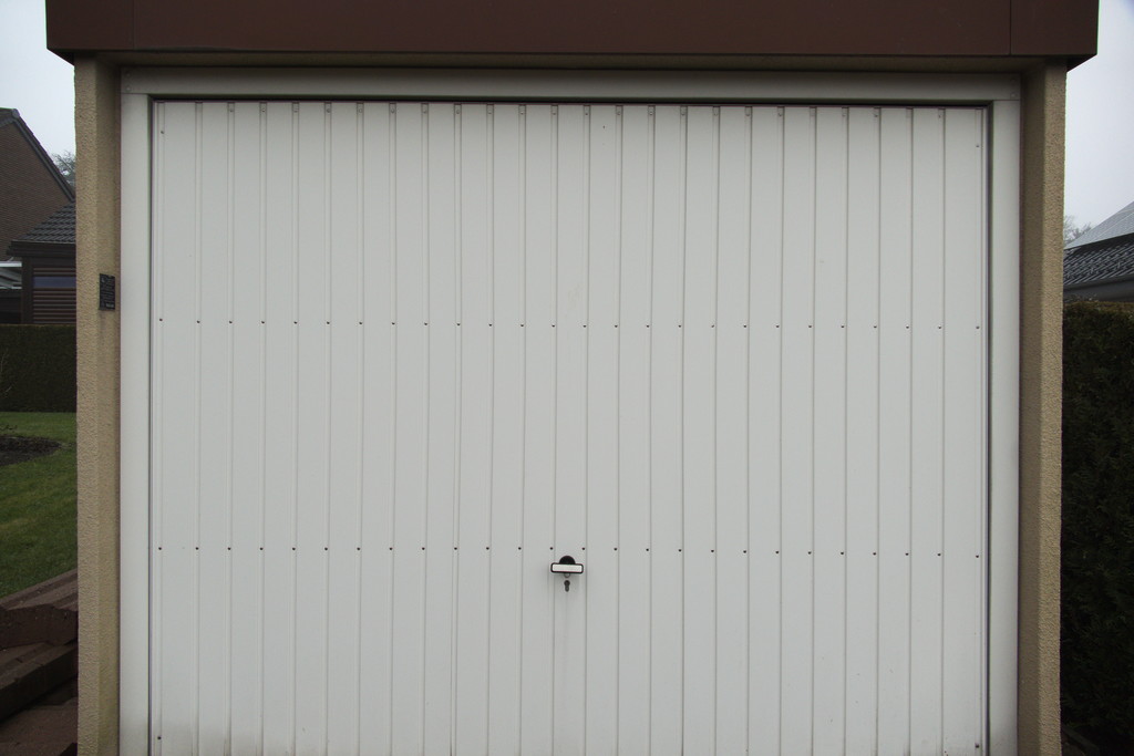 P1010342_25_2.jpg