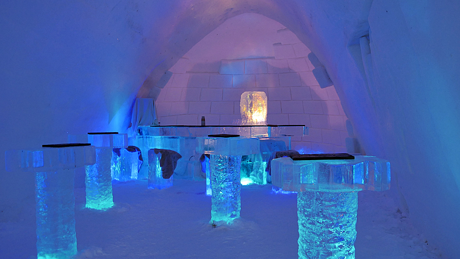 2017-02-02_eisbar-01.jpg