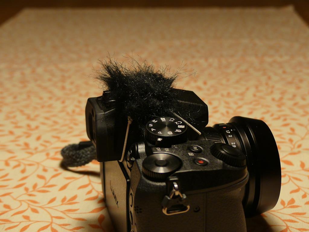 P1000052 (Copy).JPG