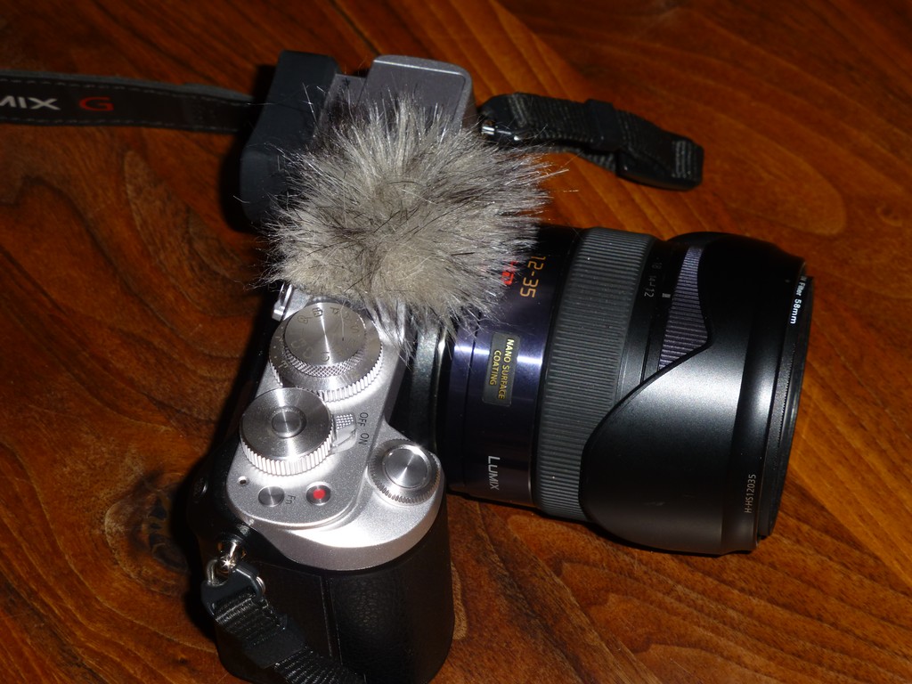 P1090229_1.JPG