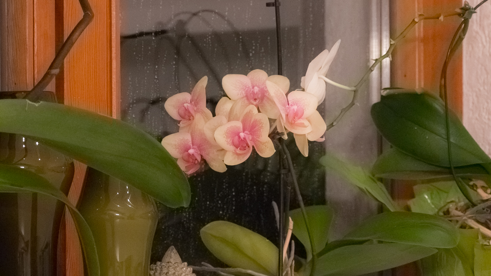 testgx80-fz300 (4).jpg