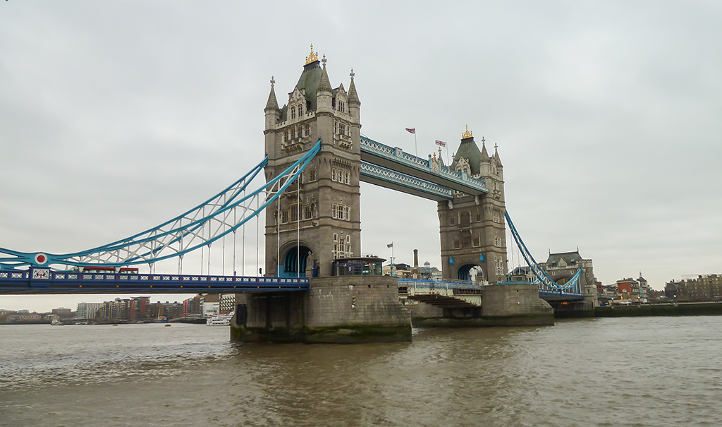 P1010917a.jpg