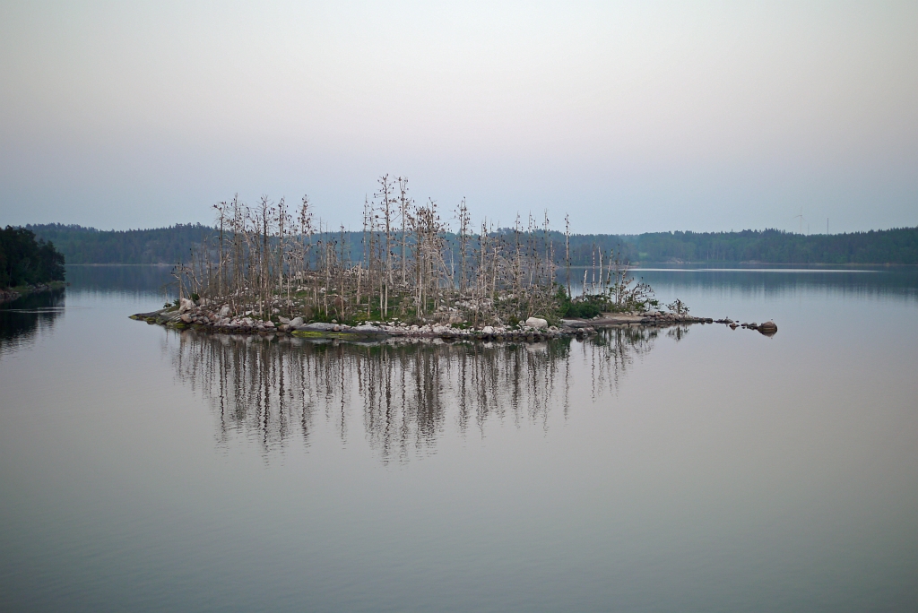 P1020016.jpg