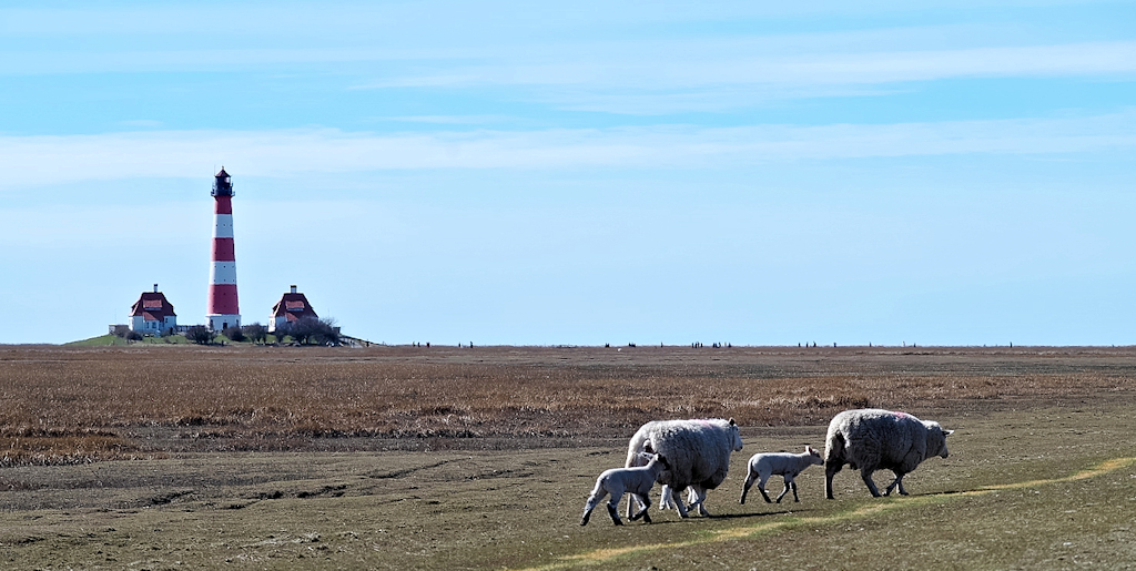 Westerhever_01.jpg