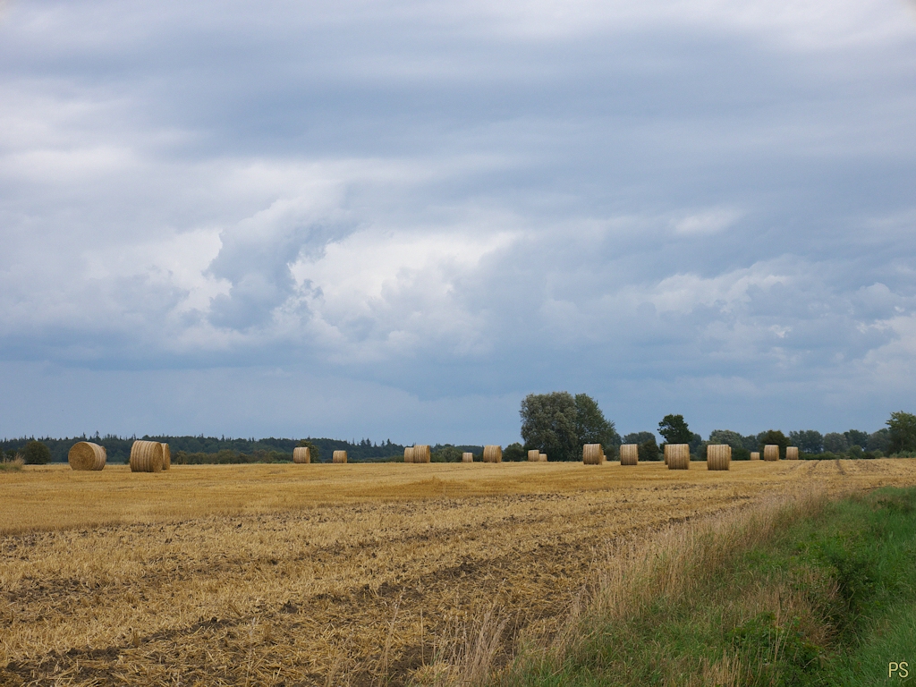 Fehmarn 11.jpg