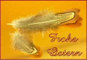 ostern-24[1].jpg