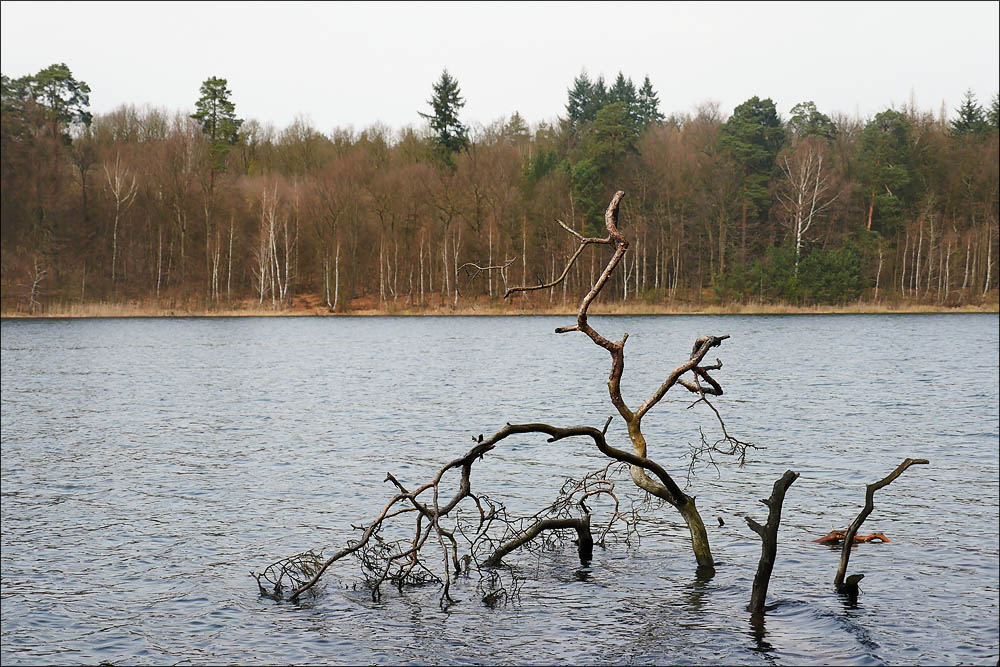 2017.03.31 Fuerstenberg Havel 032_n.jpg