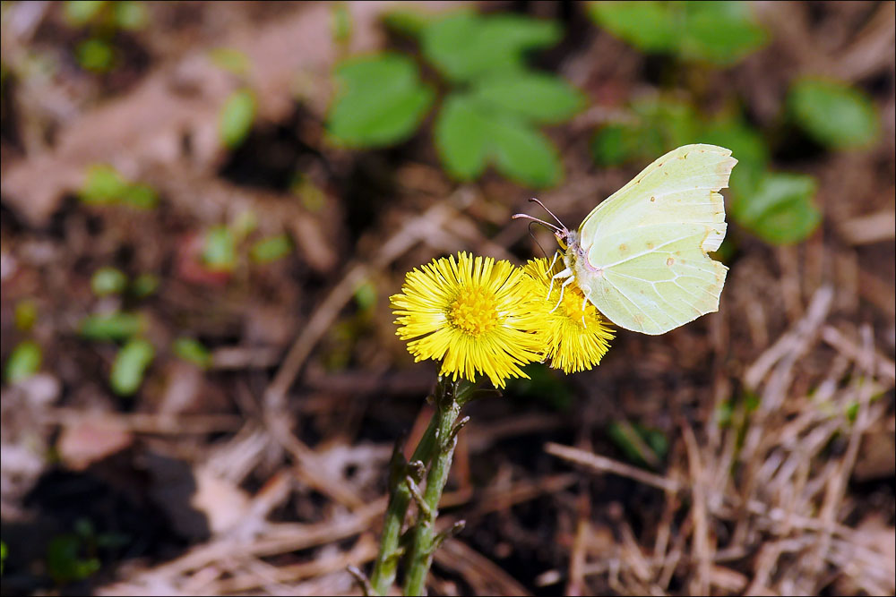 2017.04.01 Bad Belzig 064_n.jpg