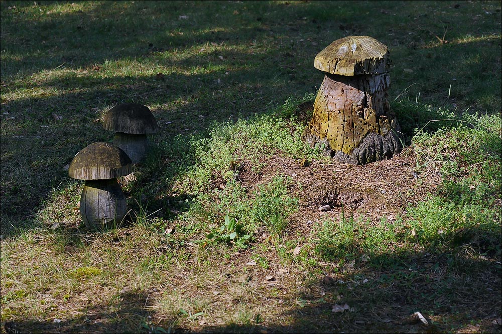 2017.04.01 Bad Belzig 057_n.jpg