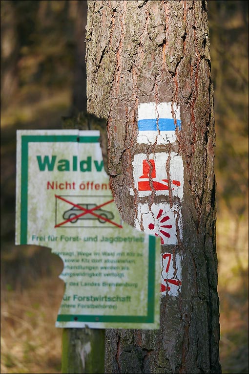 2017.04.01 Bad Belzig 066_n.jpg