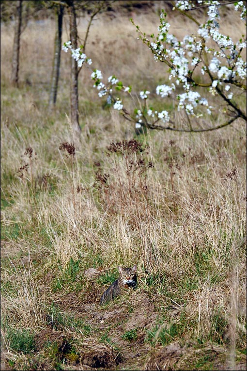 2017.04.01 Bad Belzig 078_n.jpg
