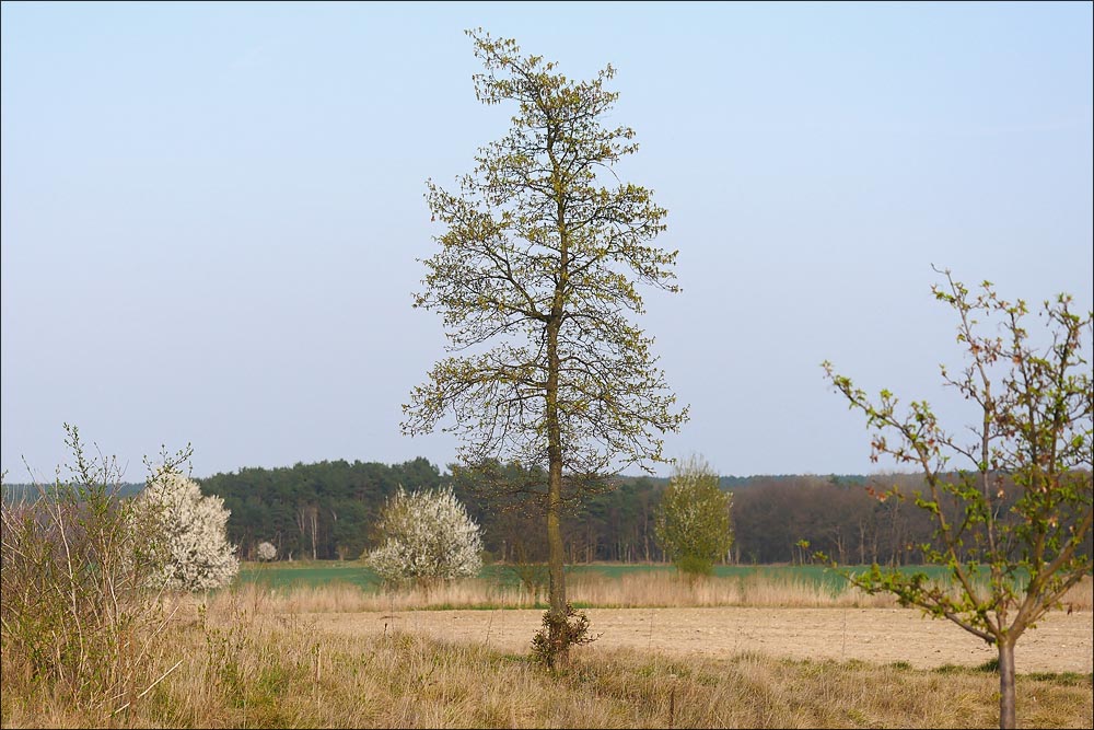 2017.04.01 Bad Belzig 106_n.jpg