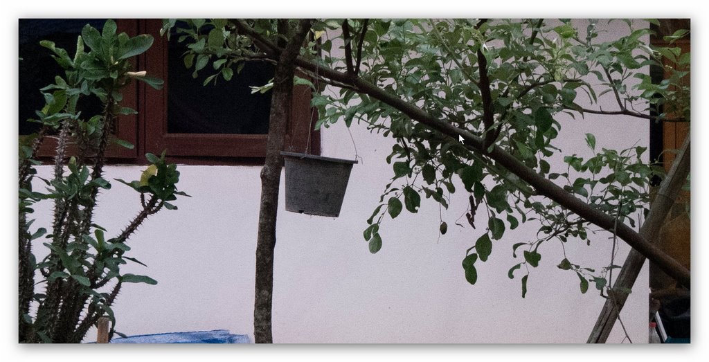 6 JPEG vom RAW2 PSE15 3200 ISO (Kopie).jpg