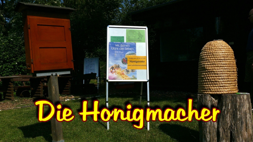 verkleinert .Bienen30.jpg