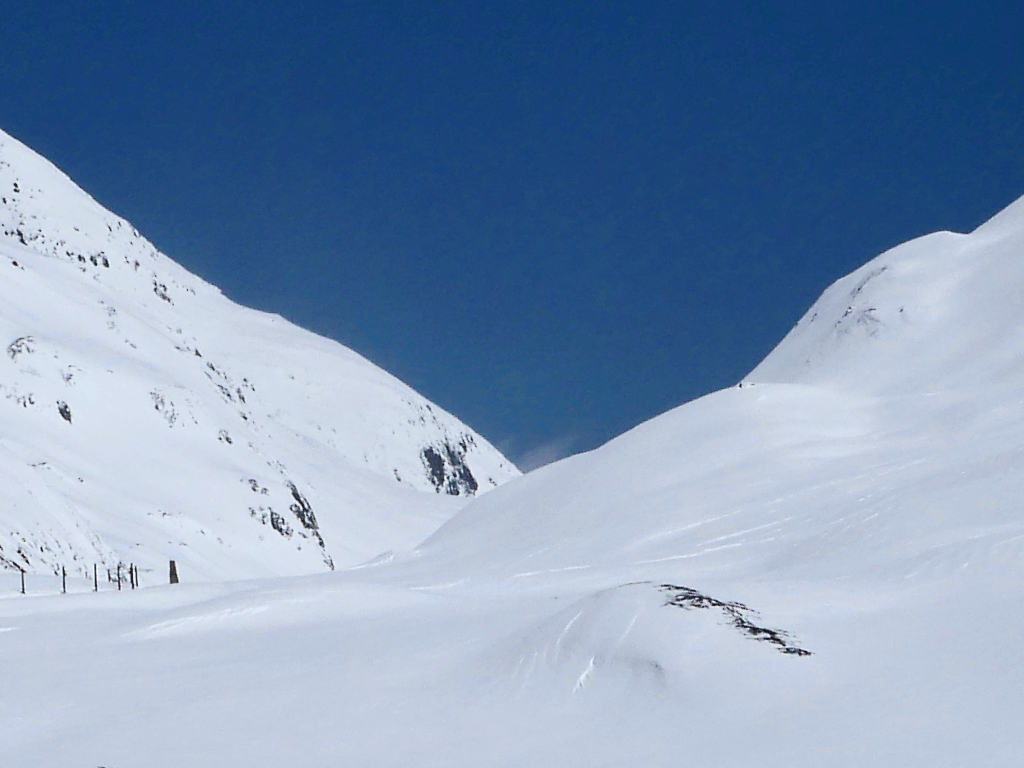 P1090757_crop_cor.jpg