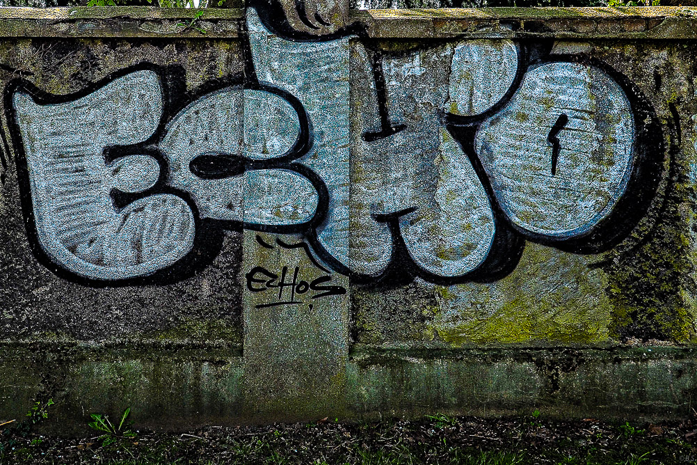 EM500417.jpg.jpg