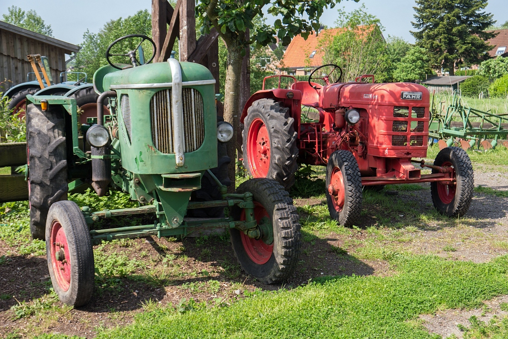 P1090579.jpg