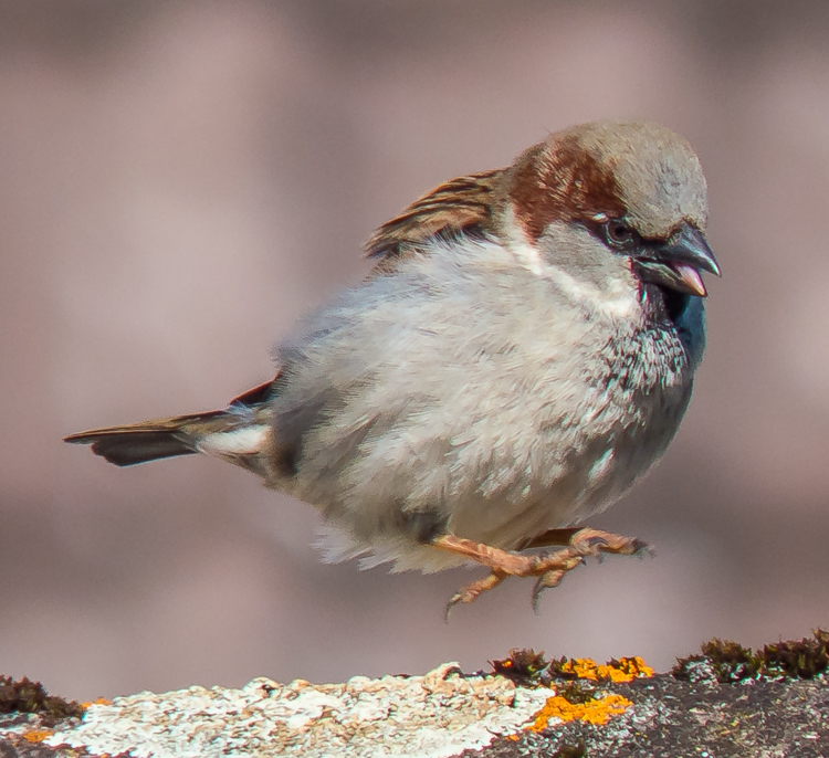 P1100870-Bearbeitet.jpg