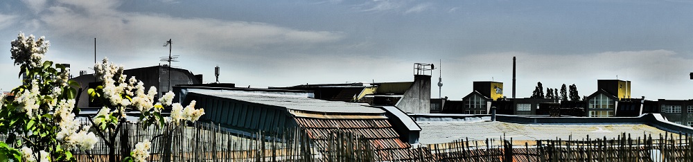 P2000231.JPG