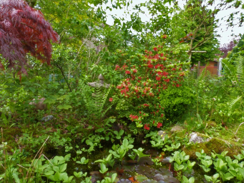 P1020365lumcomp.jpg