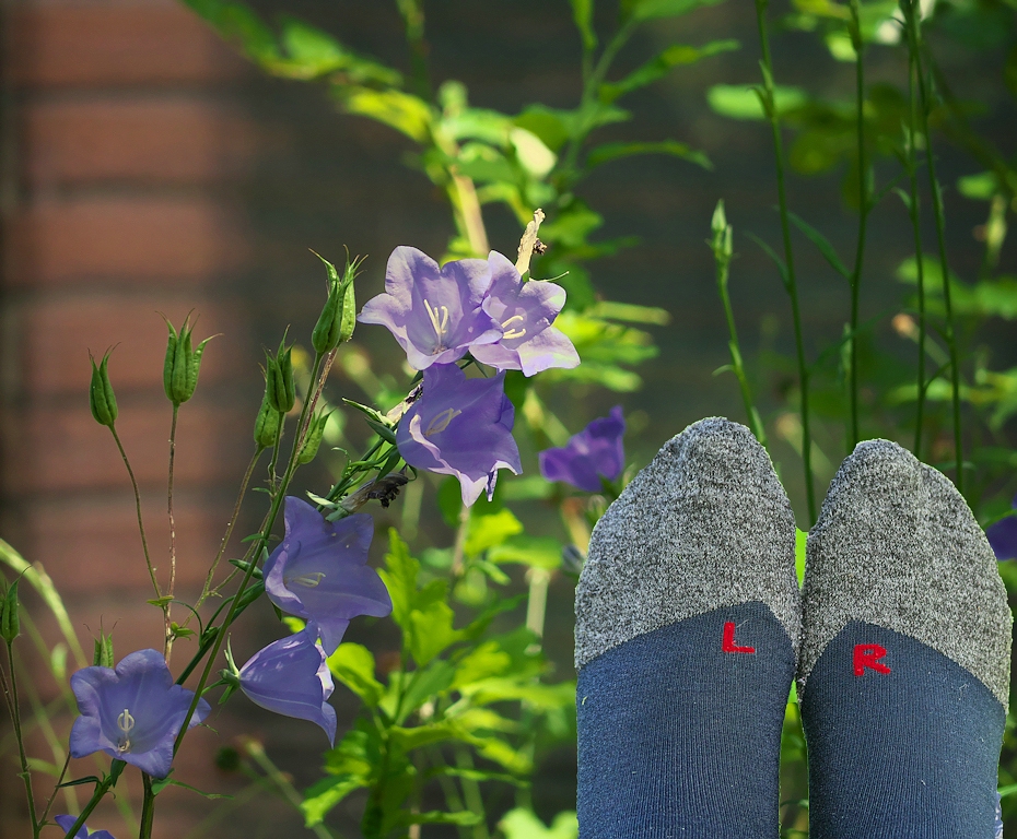 Blick in den Garten_red1.jpg