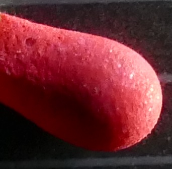 P1000120a.jpg