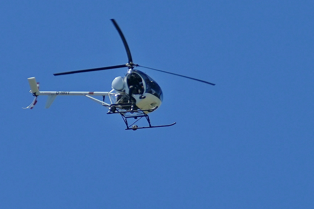 comp_P1000226a.jpg