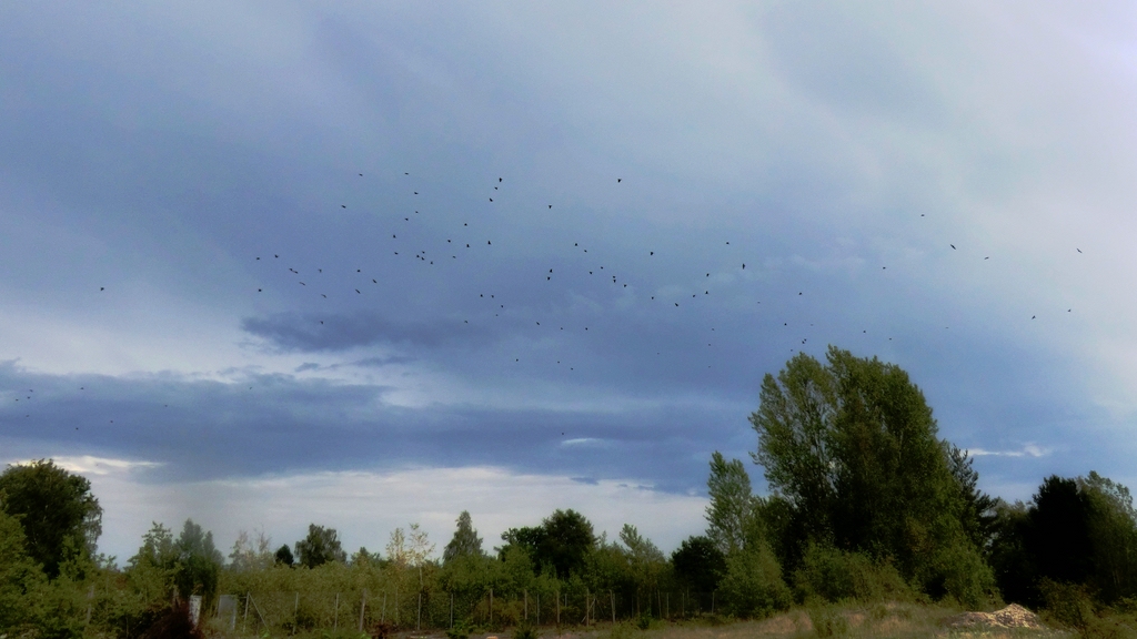 Neues Stadtteil (1).jpg