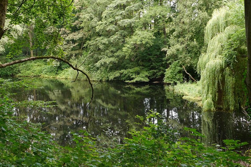 Volkspark Rehberge (3).jpg