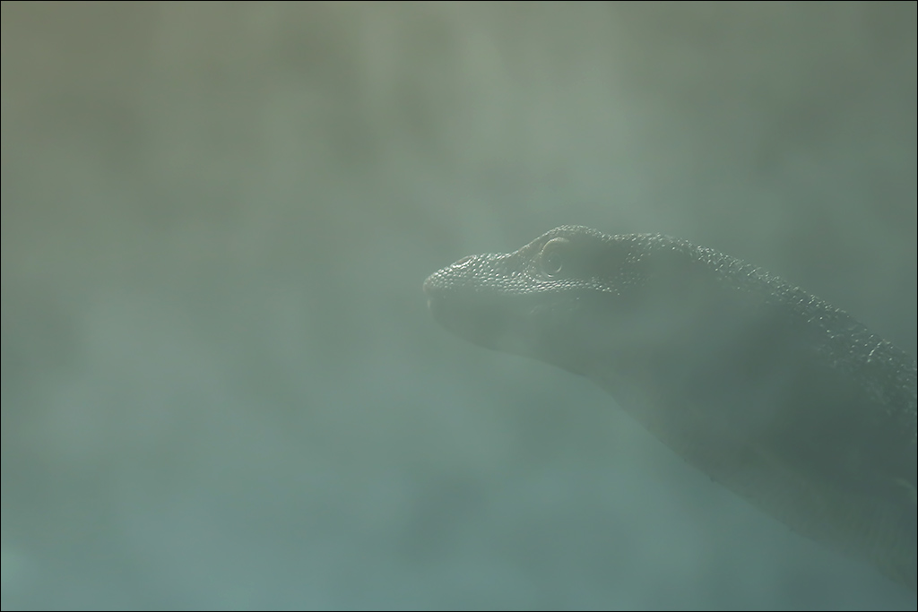 Godzilla.jpg