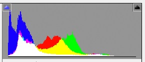 Grünweißling Histogramm .JPG