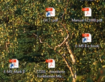 snagit.jpg